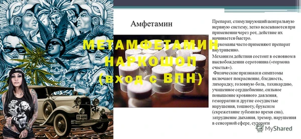 PSILOCYBIN Алзамай