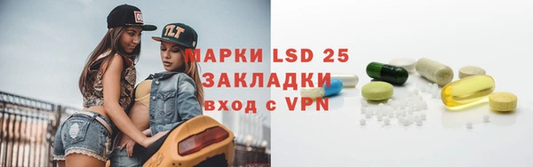PSILOCYBIN Алзамай