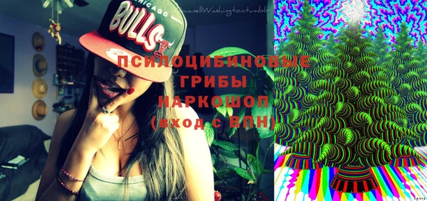 PSILOCYBIN Алзамай