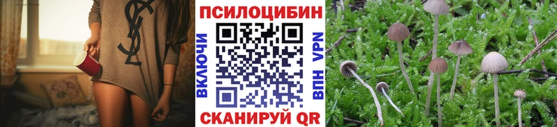 Псилоцибиновые грибы GOLDEN TEACHER Осташков